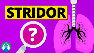 Stridor Abnormal Lung Sounds  Causes and Treatment [upl. by Yerhpmuh]