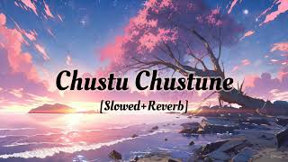 Chustu Chustune SlowedReverb [upl. by Yert886]