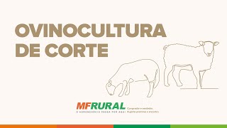 OVINOCULTURA DE CORTE [upl. by Harak9]