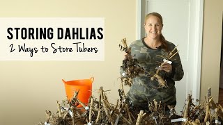 How To Store Dahlia Tubers TWO Ways for Winter Growing Cut Flowers Sunshine and Flora [upl. by Wahs]