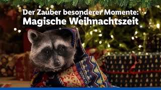 Der Zauber besonderer Momente  Magische Weihnachtszeit  Lidl lohnt sich [upl. by Cassondra707]