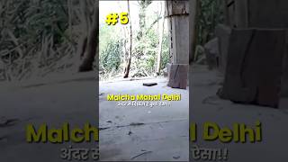 Malcha Mahal delhi अंदर से दिखता है कुछ ऐसा 5  ArbaazVlogs malchamahal delhihistoricalplaces [upl. by Lisan]