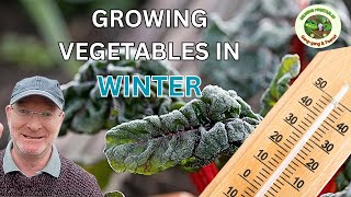 Grow Your Own Winter Veggies Yes Its Possible [upl. by Nalyorf]