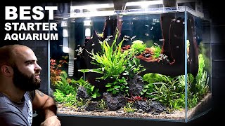 The Budget Aquarium Setup You Cannot Miss [upl. by Enaamuj]