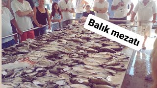 Çeşme ılıca Balik mezatı ve pazar [upl. by Ezekiel]