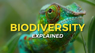 What is Biodiversity  Eco Facts  One Tree Planted [upl. by Eidnak]