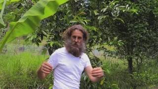 How To Grassland to a Permaculture Food Forest Paradise Ian Trew Noosa Australia PDC 2024 Course [upl. by Droffilc399]