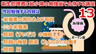 衛生管理者に最小限の暗記量で合格する講座 第13回 栄養素の消化および吸収 三大栄養素 蛋白質（たんぱく質） 膵臓（すいぞう）の機能 肝臓の機能 胆嚢（たんのう）の働き 腎臓 尿 [upl. by Cynde]