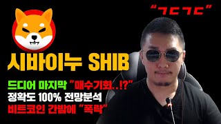 시바이누 SHIB 긴급 드디어 quot때가 온건가quot 정확도 100 전망분석 비트코인 간밤에 quot폭락quot 도미넌스 하락 시작 코인시황 [upl. by Siahc]