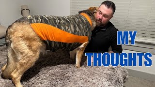 Does the Thundershirt Really Work for Dog Anxiety My Honest Review 2024 Update [upl. by Gnouc]