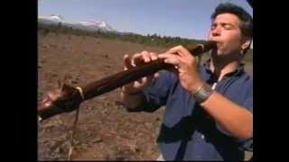 Play the Trees An Introduction to the Native American Style Flute by Ward Jene Stroud [upl. by Vladimir335]