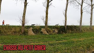 Chasse du Petit Gibier  Polders du mont SaintMichel partie 2 [upl. by Tilden]