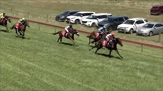 Tumbarumba 27 01 2024 Race 2 [upl. by Ettelrats537]