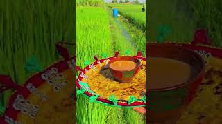 Tea Shayari Status  Chai Video Status  Hindi Gana Status  Pakistani Status  Chai Song Status [upl. by Aihppa]