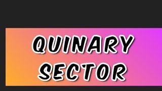 Quinary Sector  Economics [upl. by Macknair]