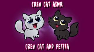 ASMR Créu Cat and Petita comfort you after a nightmare Comfort Audio Créu Cat Roleplay [upl. by Salsbury]