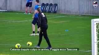 Catania doppio colpo in arrivo Foggia ecco Tascone [upl. by Carrel]