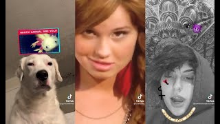 TikTok Memes that were Approved by Debby Ryan [upl. by Vogeley]