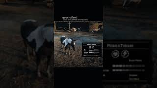 RDR2 • All Hungarian Halfbred Horse Colors and Locations • Red Dead Redemption 2 [upl. by Haeluj]