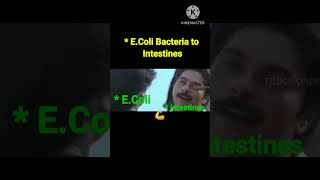 EcoliIntestinebiologyneet sciencemedicalmeme nursingmemembbs ytshortsRajni shortstelugu [upl. by Winston755]