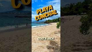 Playa Conchal Costa Rica Beach Tour Insights [upl. by Pia763]