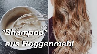 Das hilft EXTREM gegen fettige Haare Warum ich kein Shampoo mehr benutze [upl. by Niela]