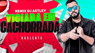 Viciada Em Cachorrada Remix  DASLENTS feat DJ ASTLEY [upl. by Aerb455]