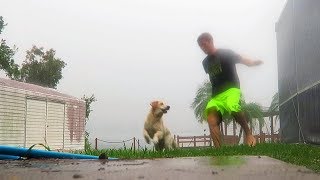 Super Cooper Sunday 27  Playing in a Hurricane Golden Retriever Puppy [upl. by Rodger234]