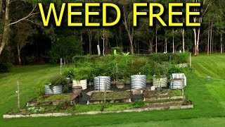 How to Make Weed Free Pathways Around Vegetable Garden [upl. by Enelrats448]