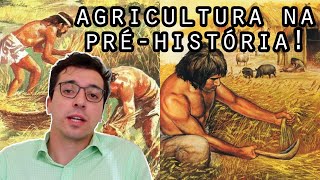 AGRICULTURA NA PRÉHISTÓRIA  história do agro [upl. by Berg]