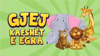 Loja Gjej Kafshët e Egra 🐻 Tingujt e Kafsheve Shqip për Fëmijë [upl. by Yk247]