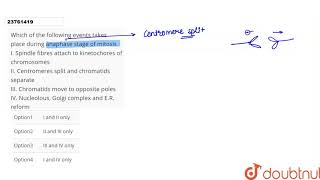 Which of the following events takes place during anaphase stage of mitosis I Spindle fibres [upl. by Way]