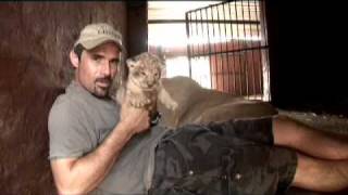 Kevin Richardson a very special Lioness amp her Cubs [upl. by Akiemat]