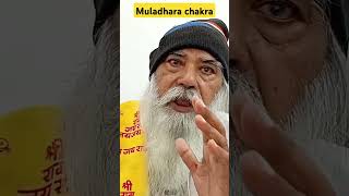 Unlocking the Power of Your Root Chakra hindi viral guruji [upl. by Leissam]