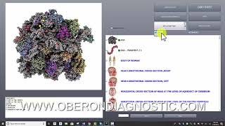 OBERON SOFTWARE DEMONSTRATION 2019 [upl. by Nylrehs]