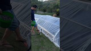 KOLAM IKAN UNIK shorts viralvideos reaction fyp [upl. by Silverman628]