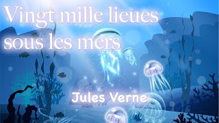 Vingt mille lieues sous les mers  Première partie  Chapitre 14 [upl. by Hcone]