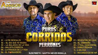 AMIGOS DE LA SIERRA  ‼️PUROS CORRIDOS PERRONES ‼️ Los Más Escuchados 🎬🎶 [upl. by Nonnaer363]