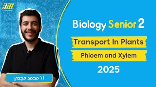 biology senior 2 first term 2025  transport in plant  phloem and xylem  بيولوجي  mohamed magdy [upl. by Dennett544]