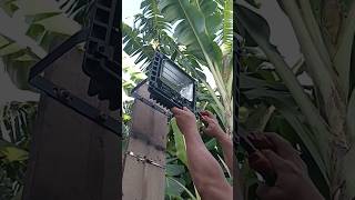 INSTALLING SOLAR LIGHT IN THE BACKYARD 60W BRIGHTNESS 6500K solarlights outdoorlighting [upl. by Fishman]