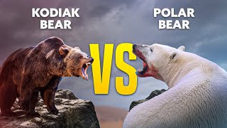 Polar Bear VS Kodiak Bear  Who is the strongest [upl. by Yssirk]