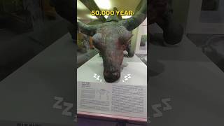 scientist found 50000 year old bison😱shorts [upl. by Octavus]