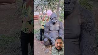 Balloons challenge with gorilla elephant animals zoo funny balloon shorts trendingshorts [upl. by Pentha]