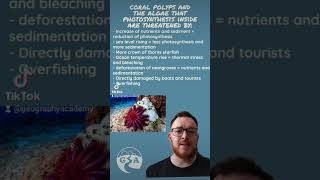 Threats to coral reefs alevel igcse geography gcse environmentalscience [upl. by Gowon]