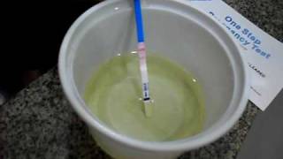 PREGNANCY TEST  PREGNANT TESTE DE GRAVIDEZ POSITIVO [upl. by Olnee501]