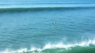 Giant waves in Huntington Beach [upl. by Perice]