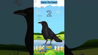 2 Crow  Learning Games For Kids Fun BrainSchool Games OnlneBest Kids Game For Learning Youtube [upl. by Bergquist]