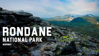 Norway like You never seen before Weekend in Rondane National Park in summer time [upl. by Nimad]