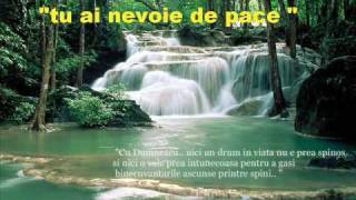 OVIDIU LITEANU tu ai nevoie de pace Romanian Christian Music [upl. by Atilrep]