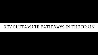 STAHLS  CH 4  PART 18  KEY GLUTAMATE PATHWAYS IN THE BRAIN psychiatrypharmacology [upl. by Carisa536]